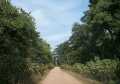 Deepka Forest