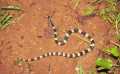 Udyanti Wildlife