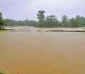 Field Land