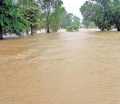 Narharpur Nala